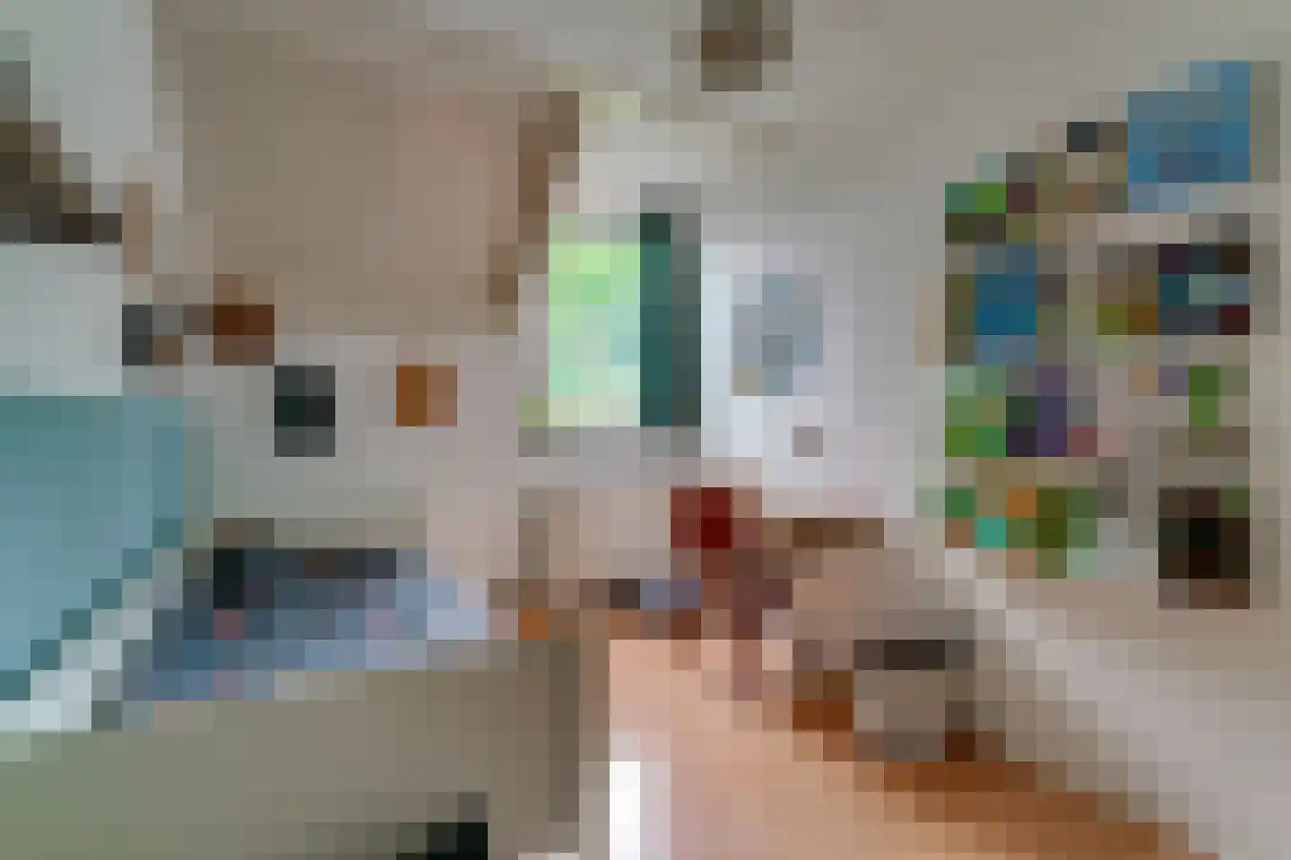 de Geer 1138 Wijchen thumbnail 33