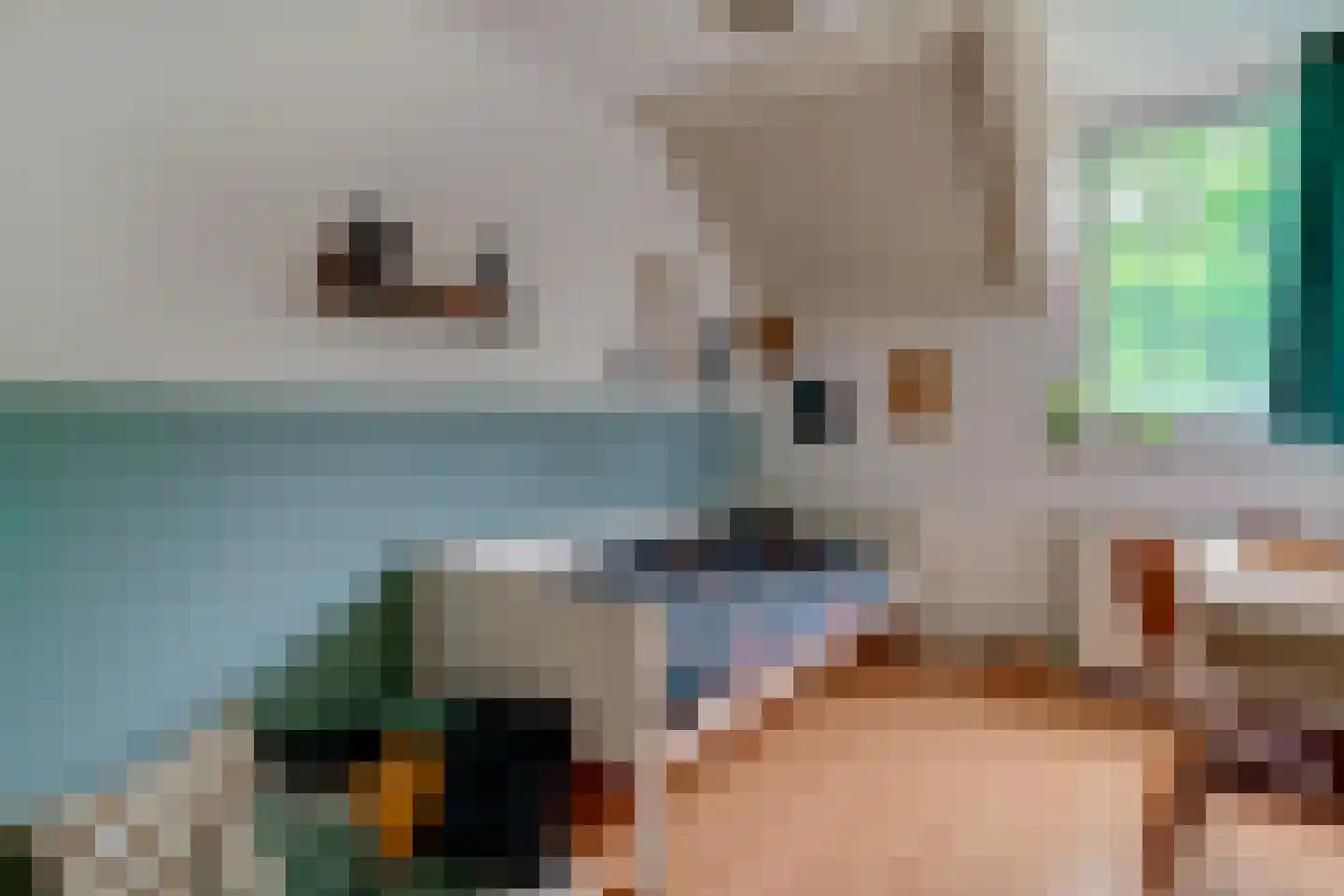 de Geer 1138 Wijchen thumbnail 34