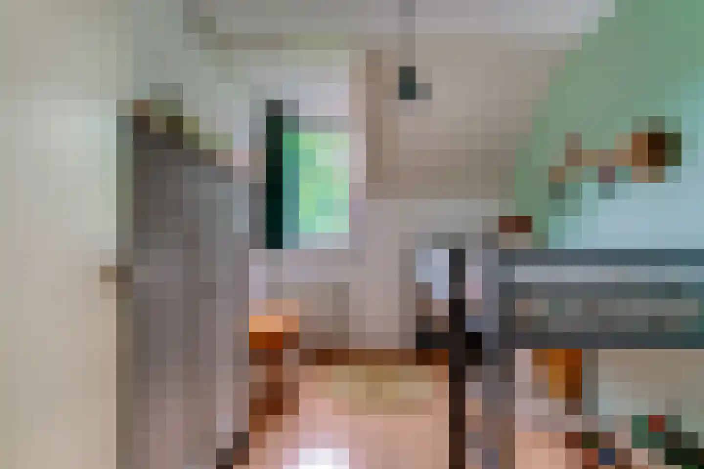 de Geer 1138 Wijchen thumbnail 36