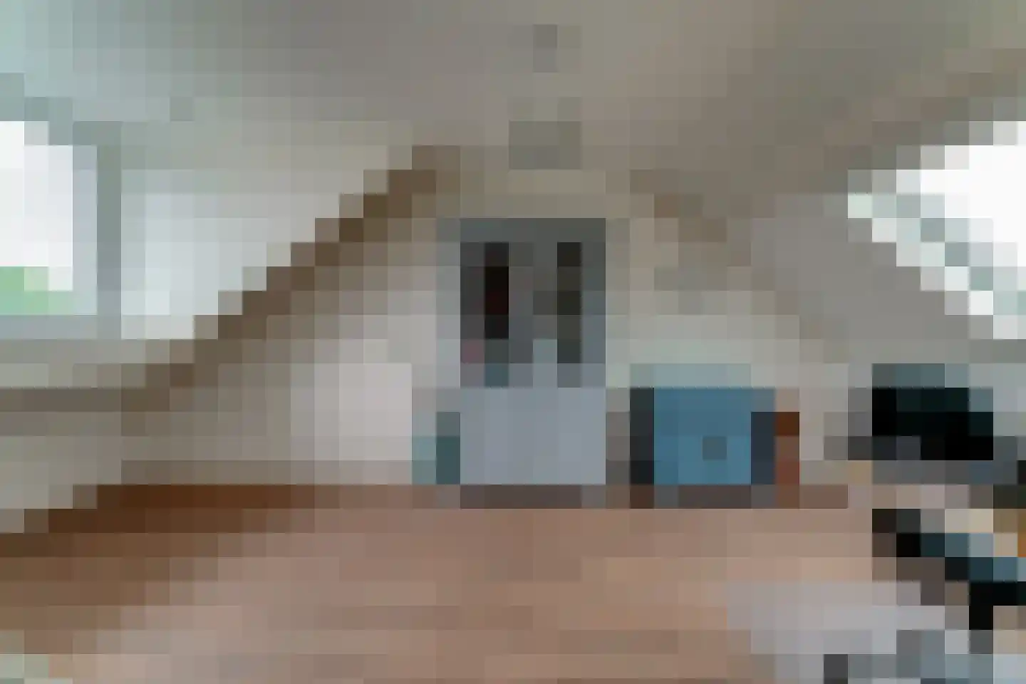 de Geer 1138 Wijchen thumbnail 39
