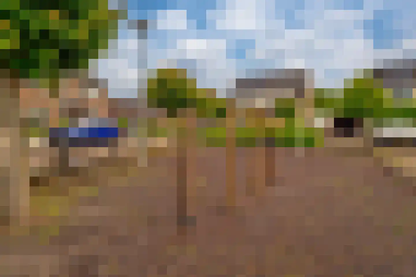 de Geer 1138 Wijchen thumbnail 45