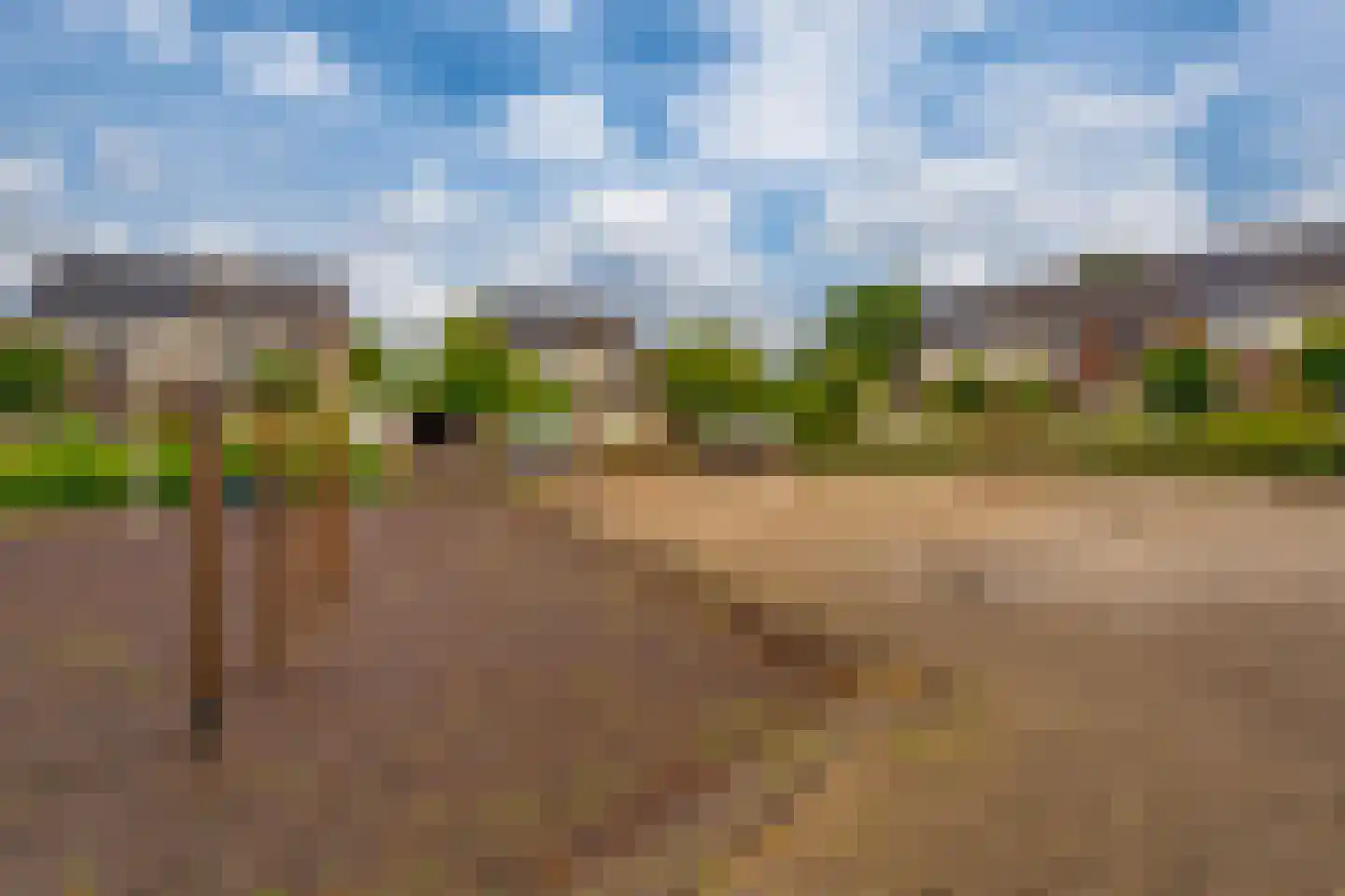 de Geer 1138 Wijchen thumbnail 46
