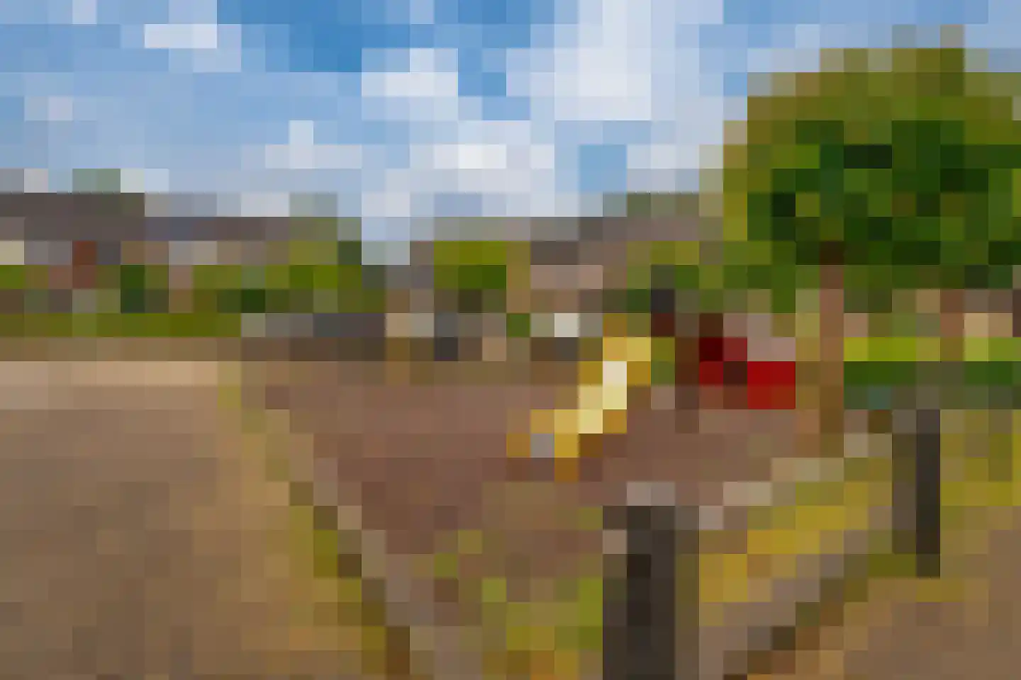 de Geer 1138 Wijchen thumbnail 47