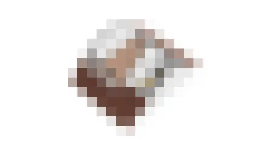 de Geer 1138 Wijchen thumbnail 57