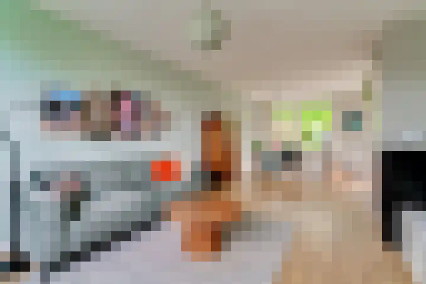 de Geer 1138 Wijchen thumbnail 6