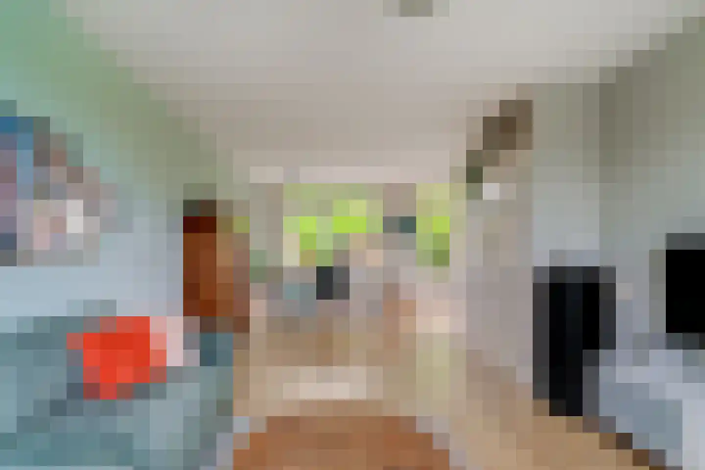 de Geer 1138 Wijchen thumbnail 7