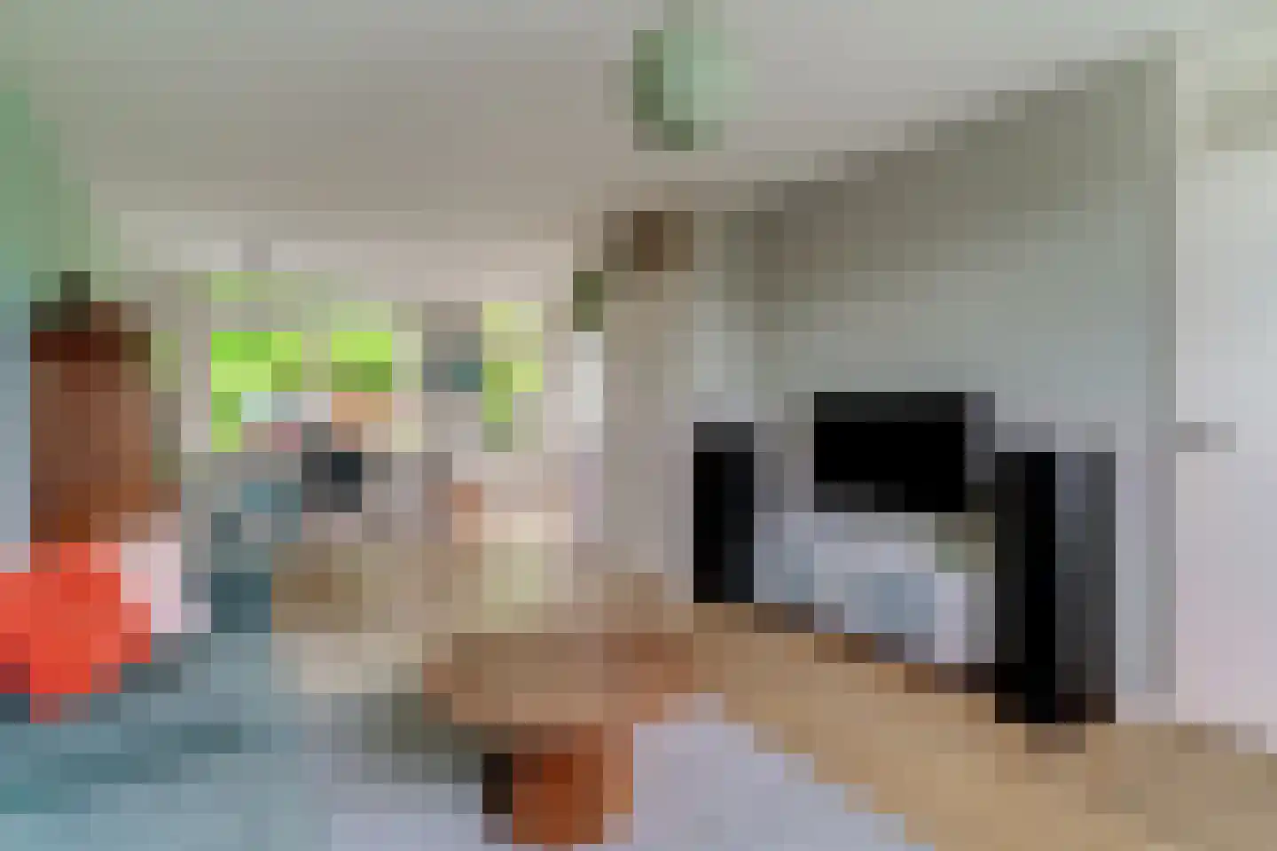 de Geer 1138 Wijchen thumbnail 8