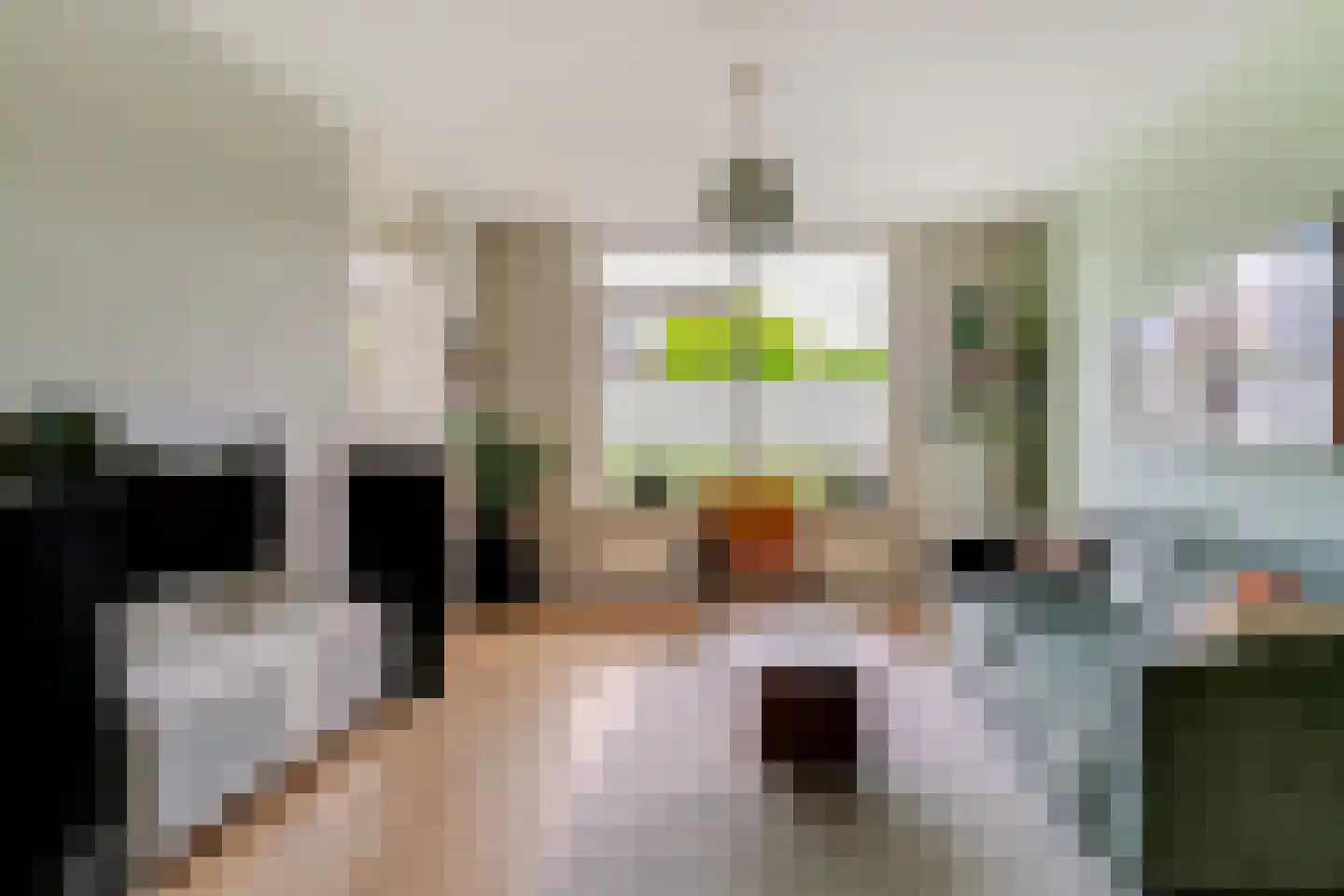 de Geer 1138 Wijchen thumbnail 9