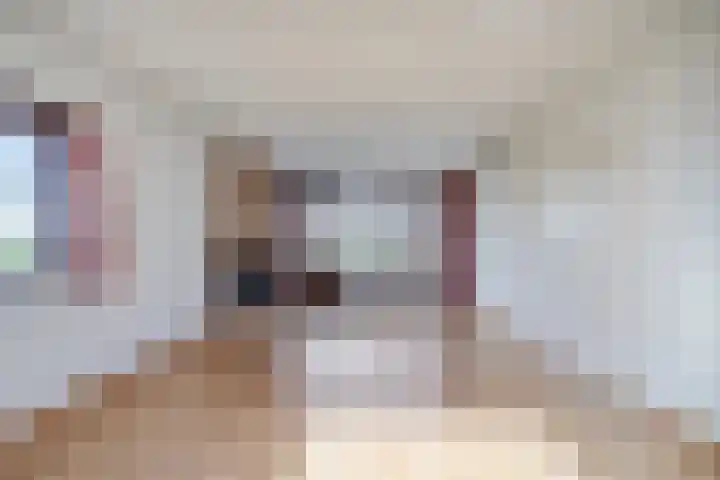 De Geer 12 Ameide thumbnail 10