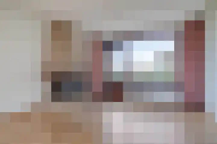 De Geer 12 Ameide thumbnail 11