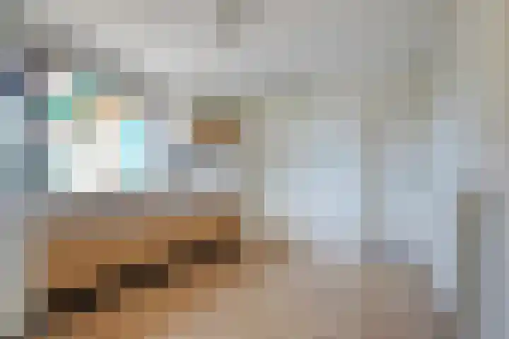 De Geer 12 Ameide thumbnail 15