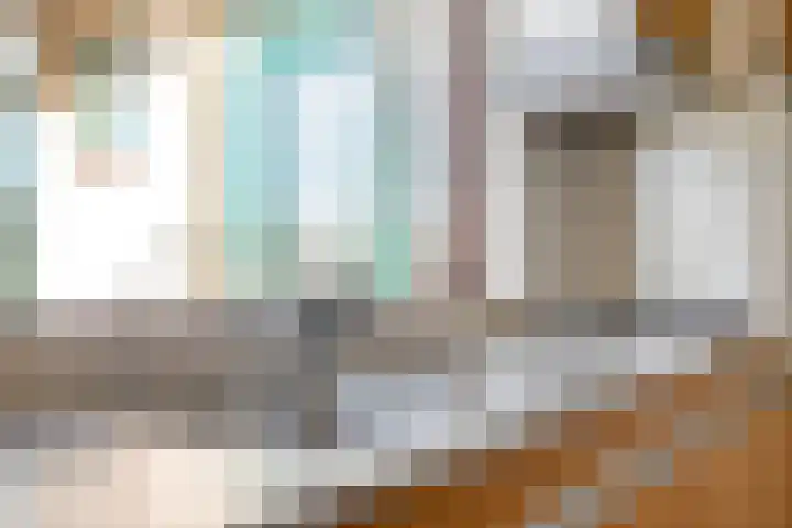 De Geer 12 Ameide thumbnail 16