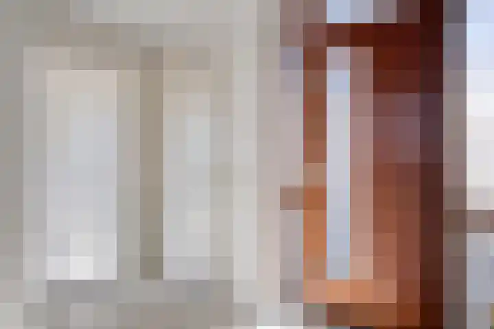 De Geer 12 Ameide thumbnail 18