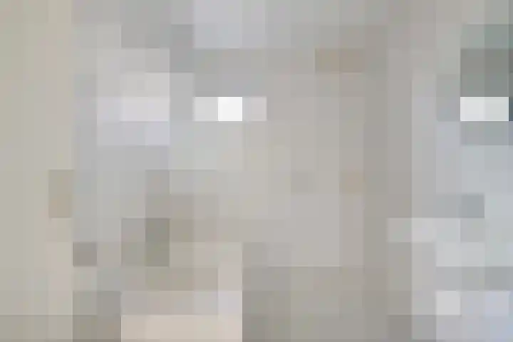 De Geer 12 Ameide thumbnail 19