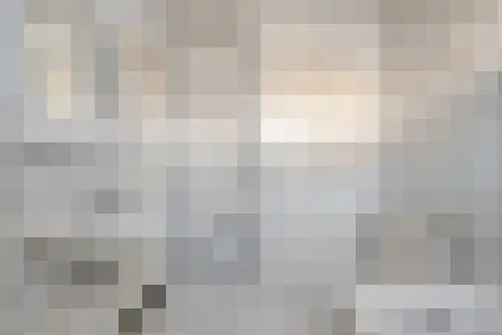 De Geer 12 Ameide thumbnail 20