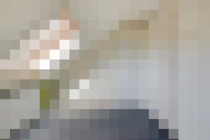 De Geer 12 Ameide thumbnail 29