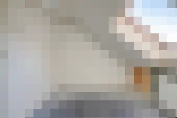 De Geer 12 Ameide thumbnail 30