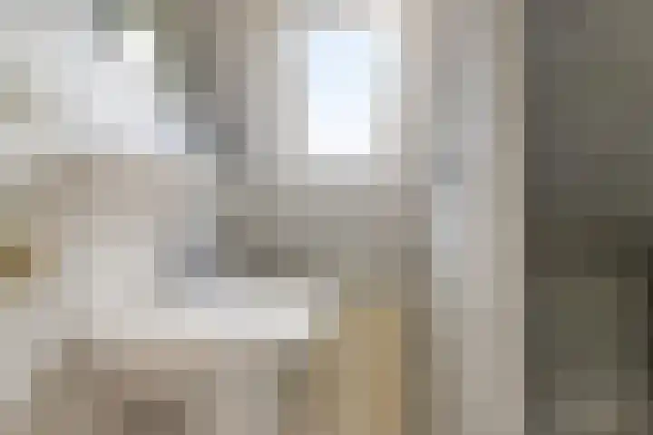 De Geer 12 Ameide thumbnail 33