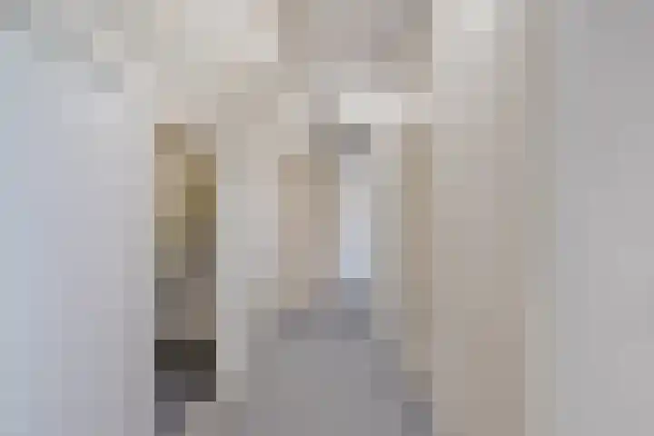De Geer 12 Ameide thumbnail 36