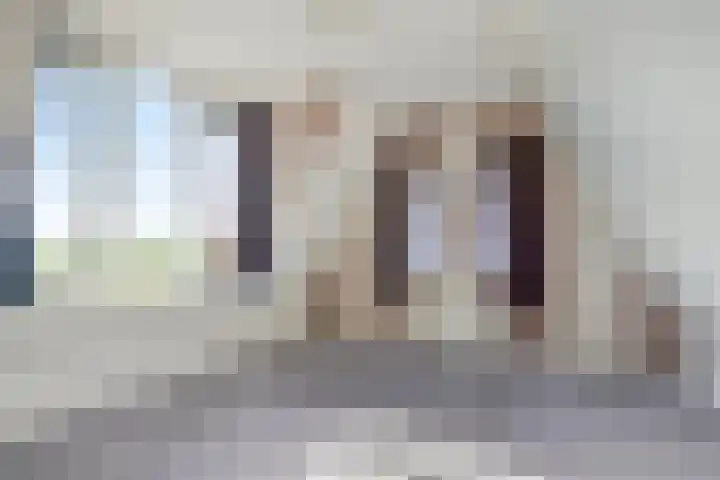 De Geer 12 Ameide thumbnail 37