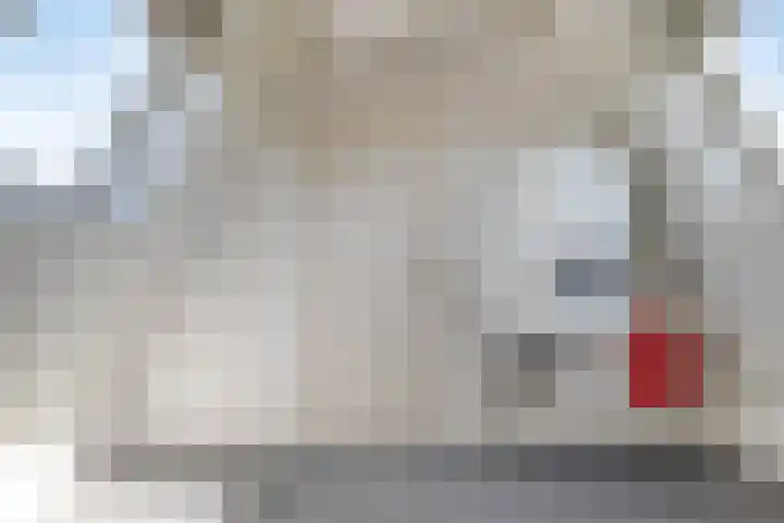 De Geer 12 Ameide thumbnail 39
