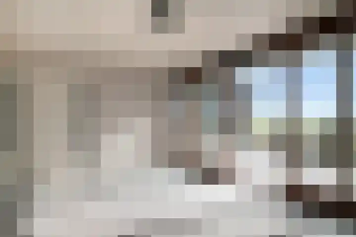 De Geer 12 Ameide thumbnail 43