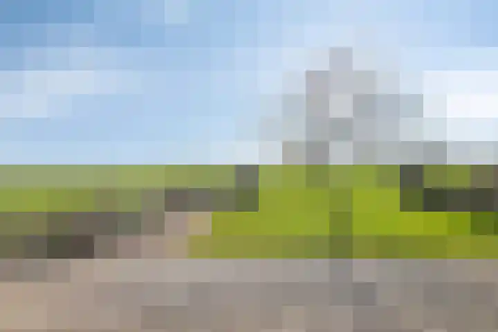 De Geer 12 Ameide thumbnail 45