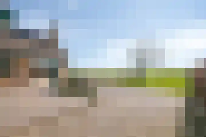 De Geer 12 Ameide thumbnail 46