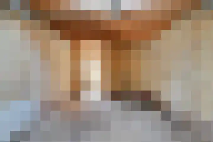 De Geer 12 Ameide thumbnail 49