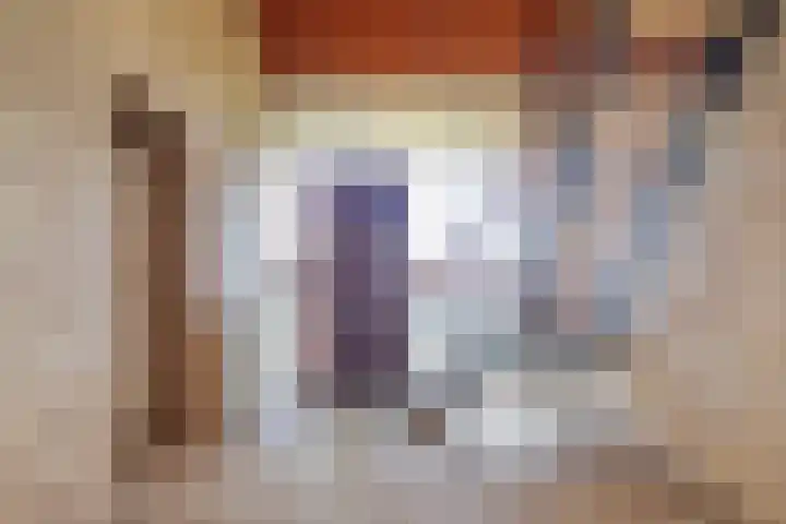 De Geer 12 Ameide thumbnail 5