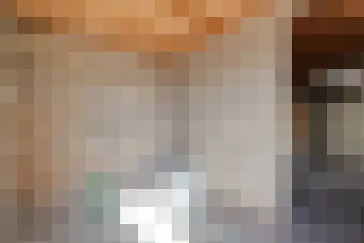 De Geer 12 Ameide thumbnail 50
