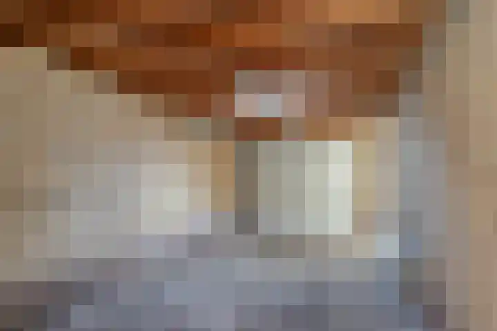 De Geer 12 Ameide thumbnail 51