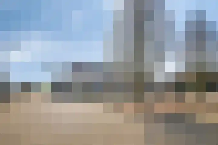 De Geer 12 Ameide thumbnail 52
