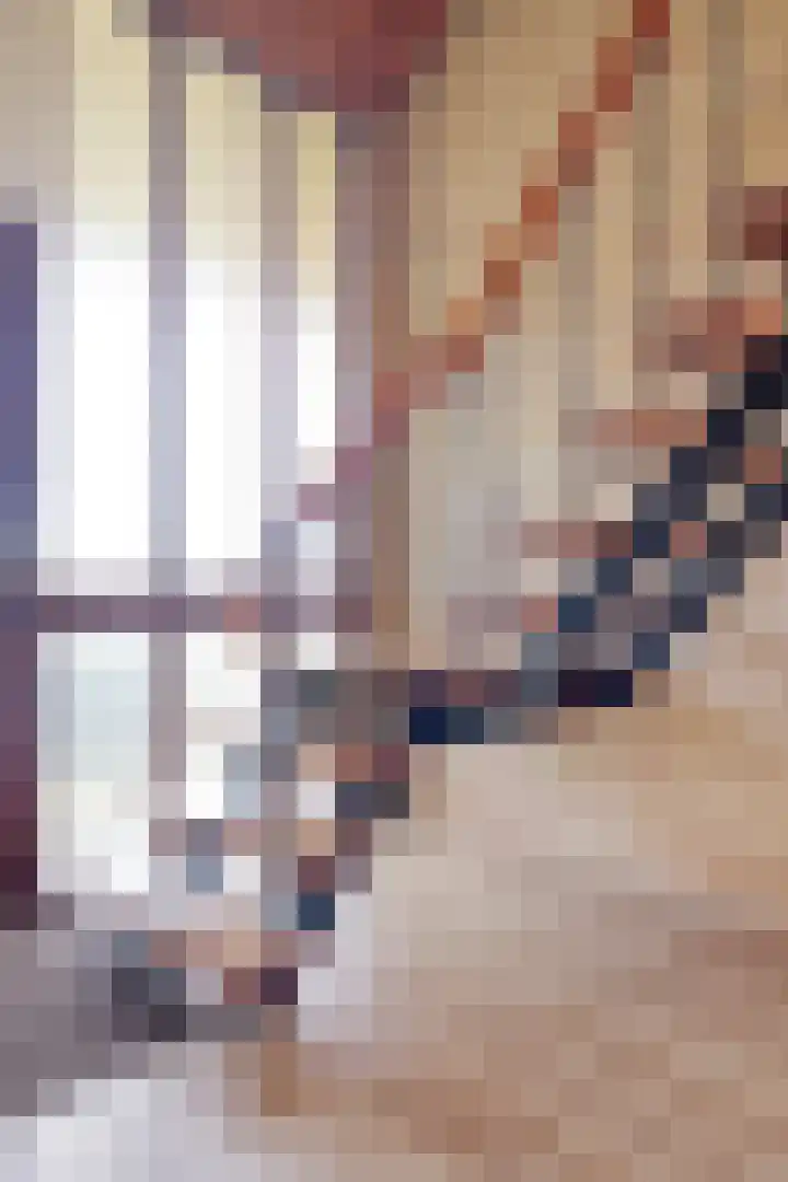 De Geer 12 Ameide thumbnail 6