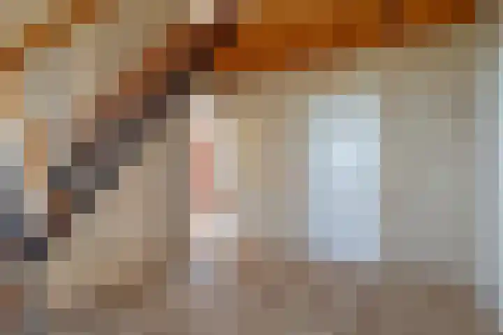 De Geer 12 Ameide thumbnail 7