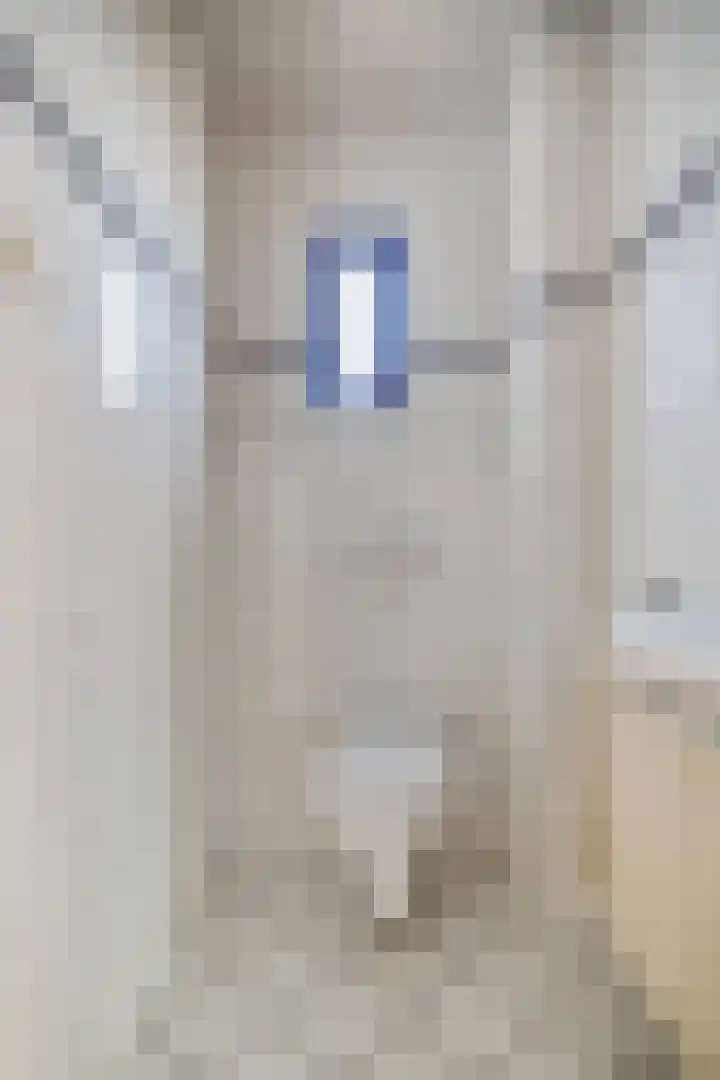 De Geer 12 Ameide thumbnail 9