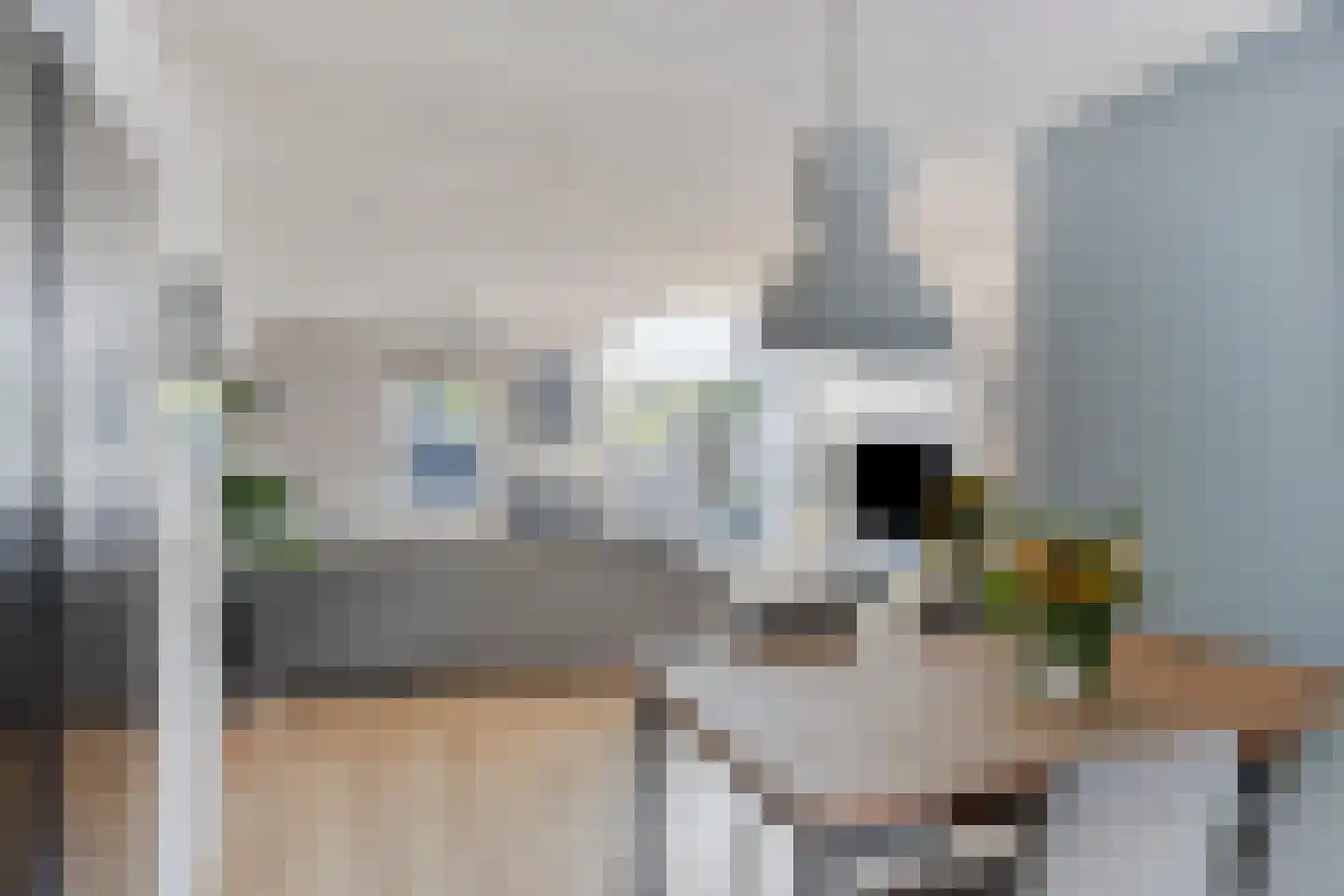 De Geer 12 Westervoort thumbnail 19