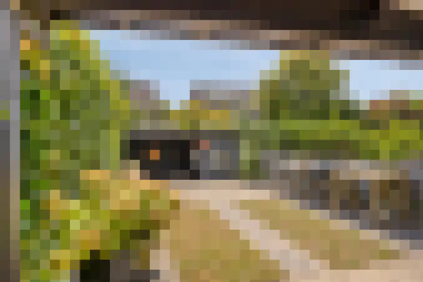 De Geer 12 Westervoort thumbnail 21