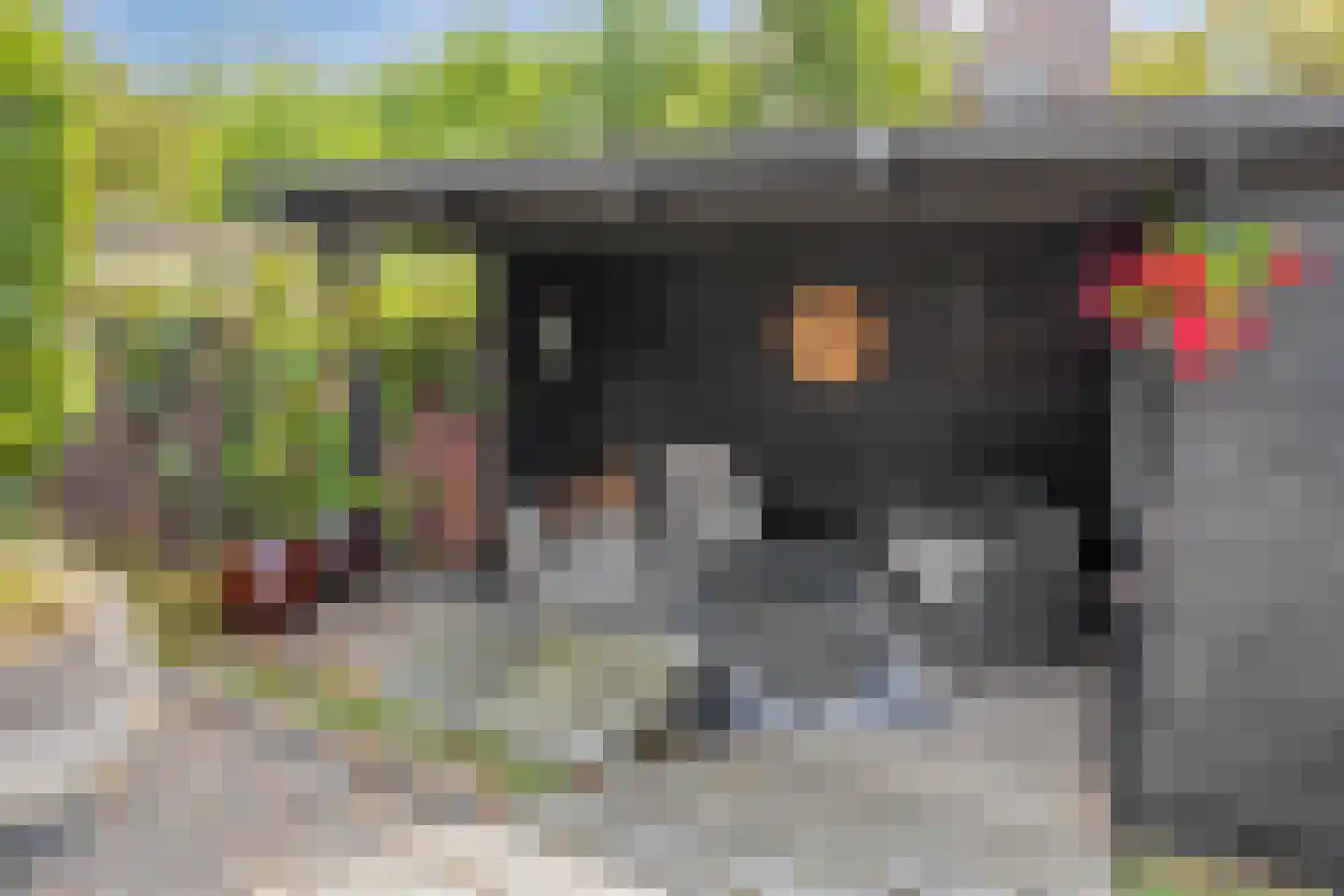 De Geer 12 Westervoort thumbnail 22