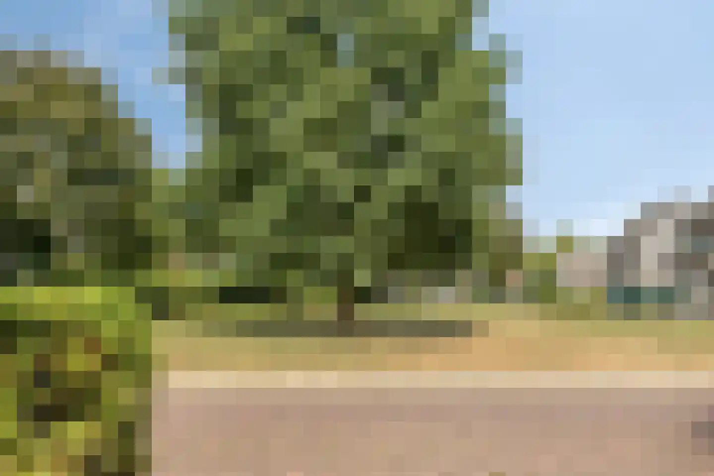 De Geer 12 Westervoort thumbnail 38