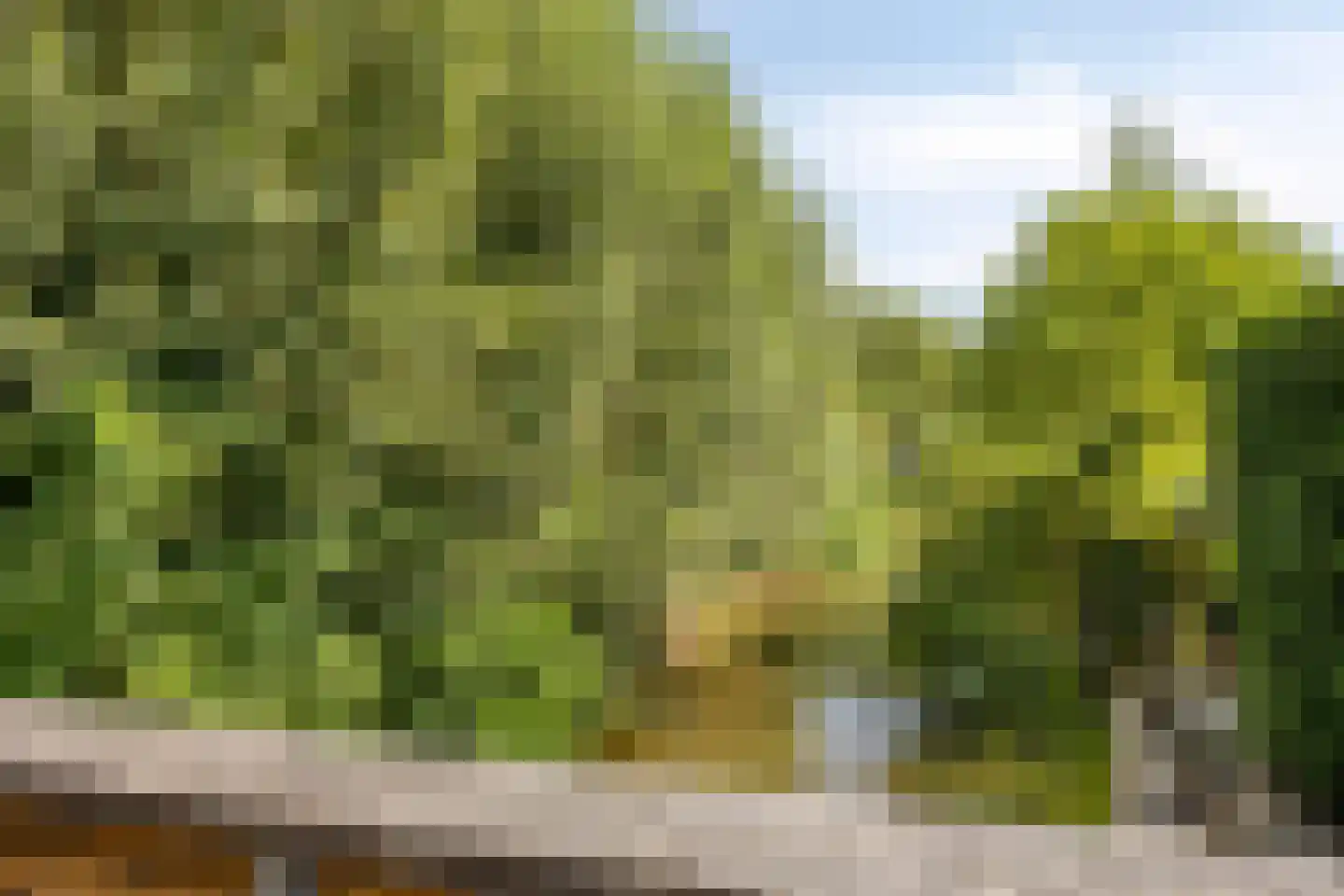 De Geer 12 Westervoort thumbnail 41
