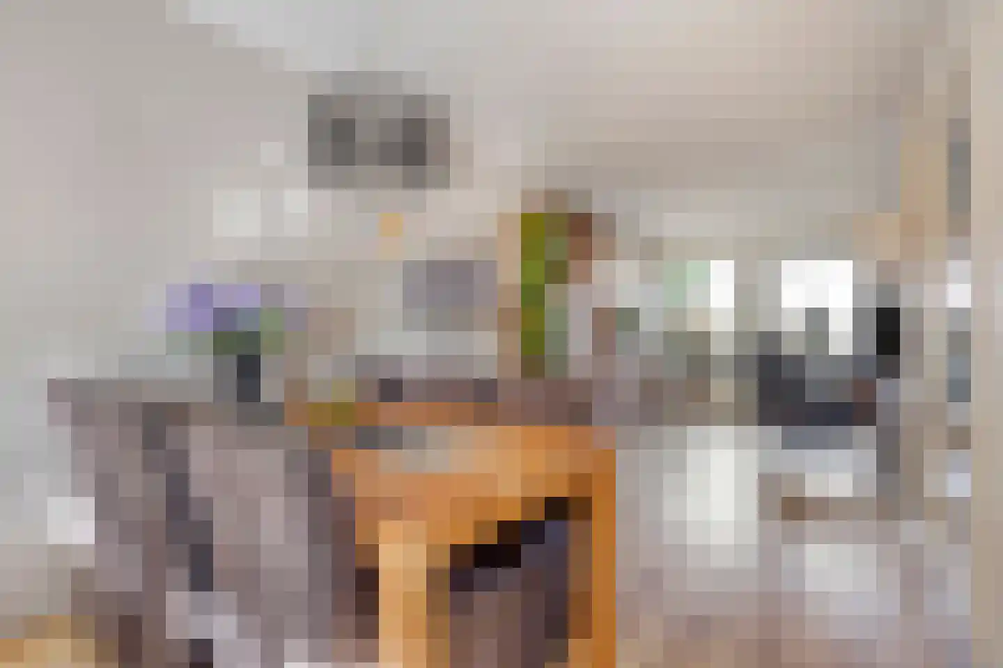 De Geer 16 Giesbeek thumbnail 12