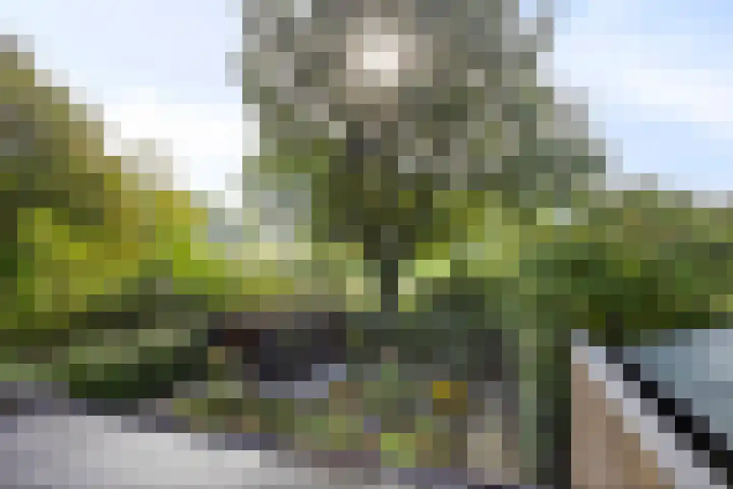 De Geer 16 Giesbeek thumbnail 24