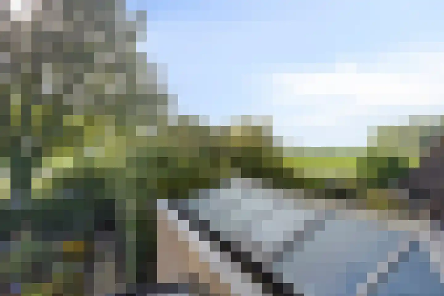 De Geer 16 Giesbeek thumbnail 25