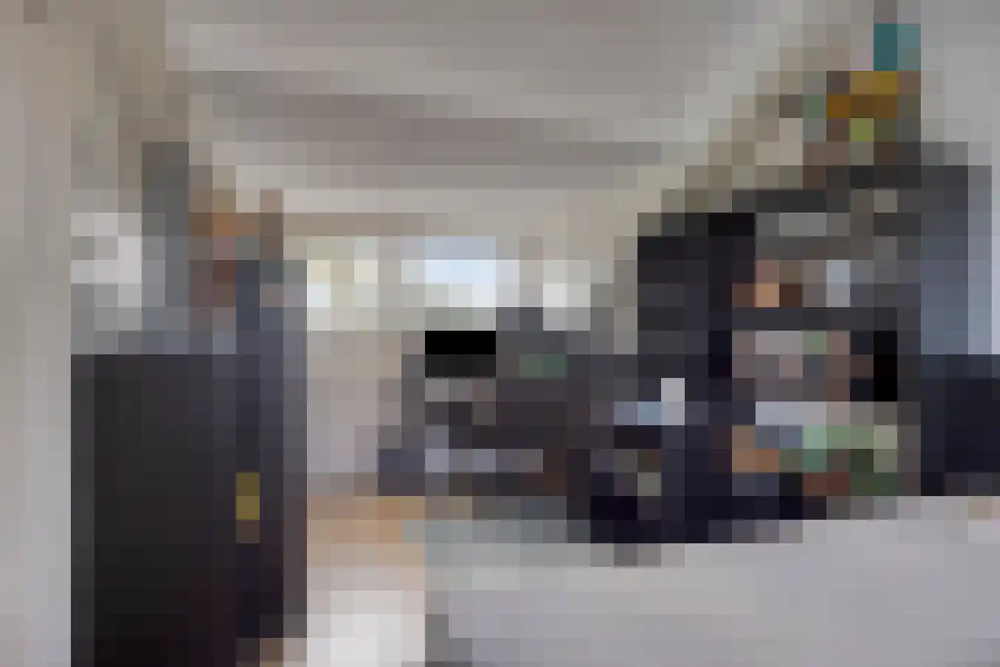 De Geer 16 Giesbeek thumbnail 35