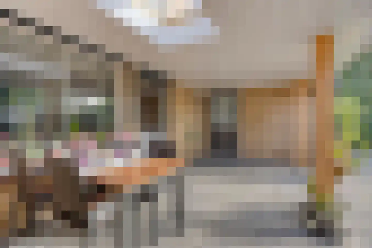 De Geer 16 Giesbeek thumbnail 40