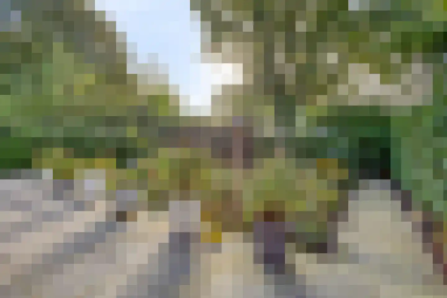De Geer 16 Giesbeek thumbnail 42