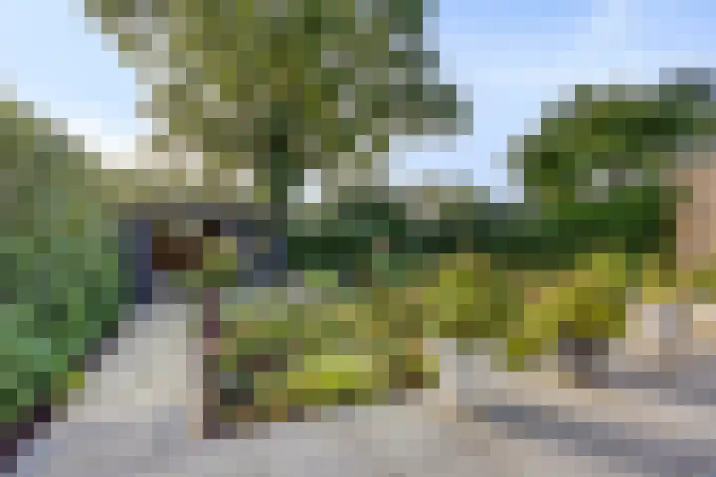 De Geer 16 Giesbeek thumbnail 43