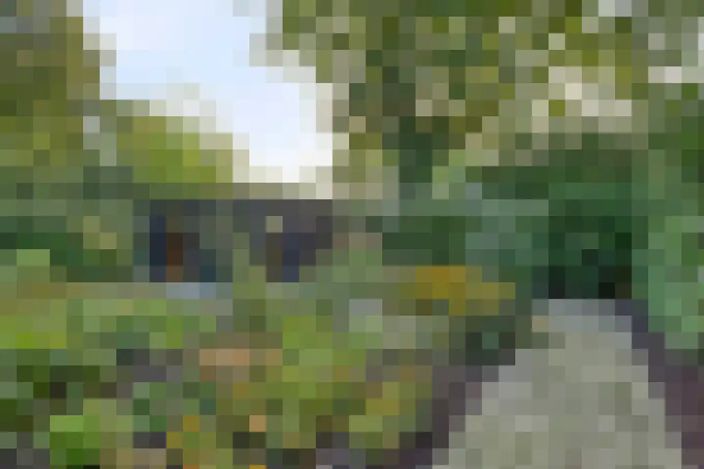 De Geer 16 Giesbeek thumbnail 44