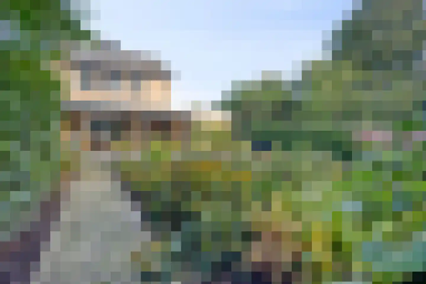 De Geer 16 Giesbeek thumbnail 45